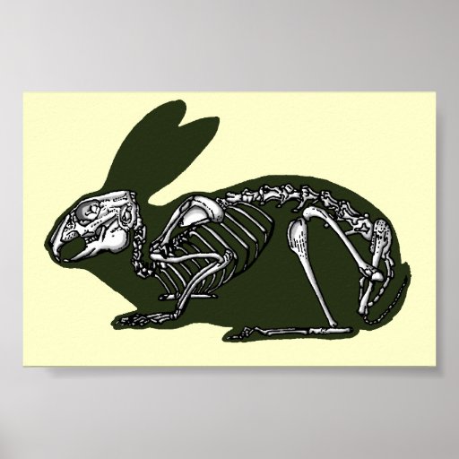 rabbit skeleton posters
