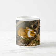 rabbit tazas
