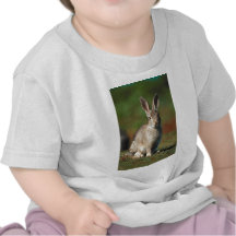 Rabbit Tee Shirt