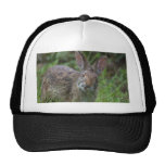 Rabbit Trucker Hat
