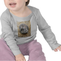 Rabbit Tshirts