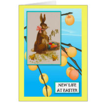Rabbit with coloured eggs greeting card