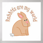 Rabbits are my World Posters