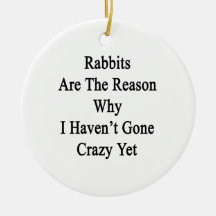 Rabbits Are The Reason Why I Haven't Gone Crazy Ye Ornaments