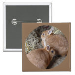 Rabbits Button