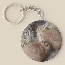 Rabbits keychains
