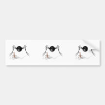 rabid bowling ball spider chases pin bumper sticker