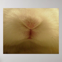 rabit print