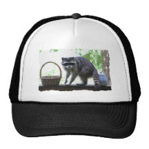 Raccoon and Cookie Jar Trucker Hats