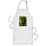 raccoon apron
