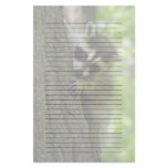 Raccoon Baby Lined or Unlined Stationery