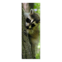 Raccoon Baby Skinny Business Card or Bookmark