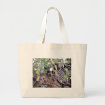 Raccoon Bags