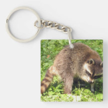 Raccoon Bathing Acrylic Keychain