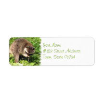 Raccoon Bathing Mailing Labels