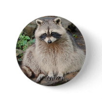 Raccoon Pins