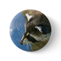 Raccoon Buttons
