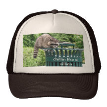 raccoon, chillin like a villian mesh hat