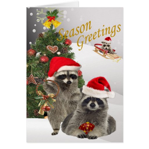 Raccoon Christmas A Time For Fun Cards