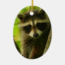 raccoon christmas ornament
