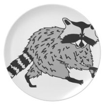 raccoon coon waschbär teller
