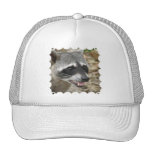 Raccoon Face Baseball Hat