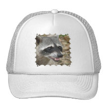 Raccoon Face Baseball Hat