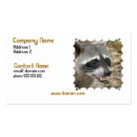 Raccoon Face Business Card