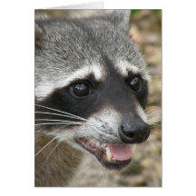 Raccoon Face Greeting Card