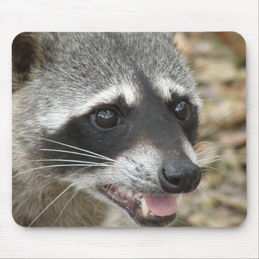 Raccoon Face Mouse Pad