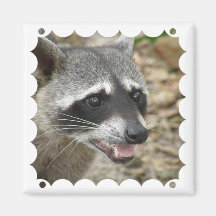 Raccoon Face Square Magnet