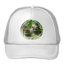 Raccoon Habitat Baseball Hat
