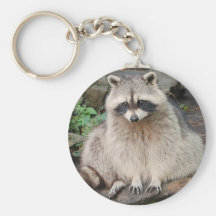 Raccoon Keychain