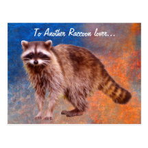 Raccoon-lover Wildlife Art Post Cards