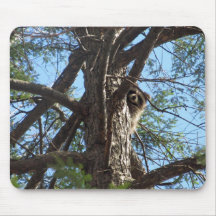 Raccoon Mouse Pad