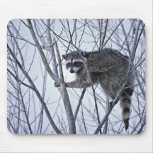 Raccoon Mousepad