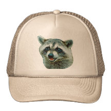 Raccoon Picture Hat
