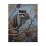 Raccoon Postcards