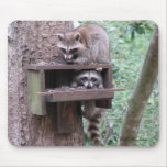 Raccoon Rascals Mousepad