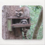 Raccoon Rascals Mousepad