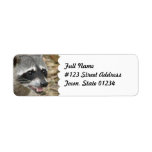 Raccoon Return Address Label