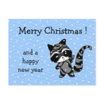 raccoon xmas snow