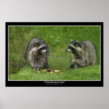 RACCOONS Photo Print Poster