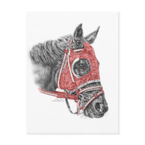 Race Horse Red Silks Portrait Post Cards