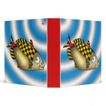 Racer Fish binders