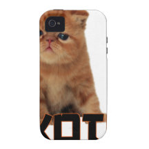 races exotiques de chat coques vibe iPhone 4
