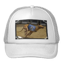 Racing Greyhound Baseball Hat
