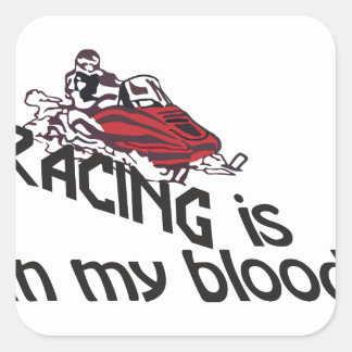 Racing Is In My Blood My Car My Rules
