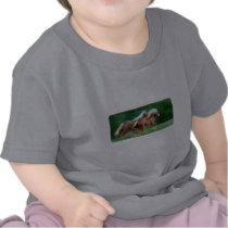 Racing Palomino Horses Baby T-Shirt