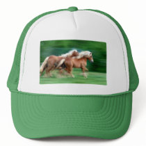 Racing Palomino Horses Baseball Hat